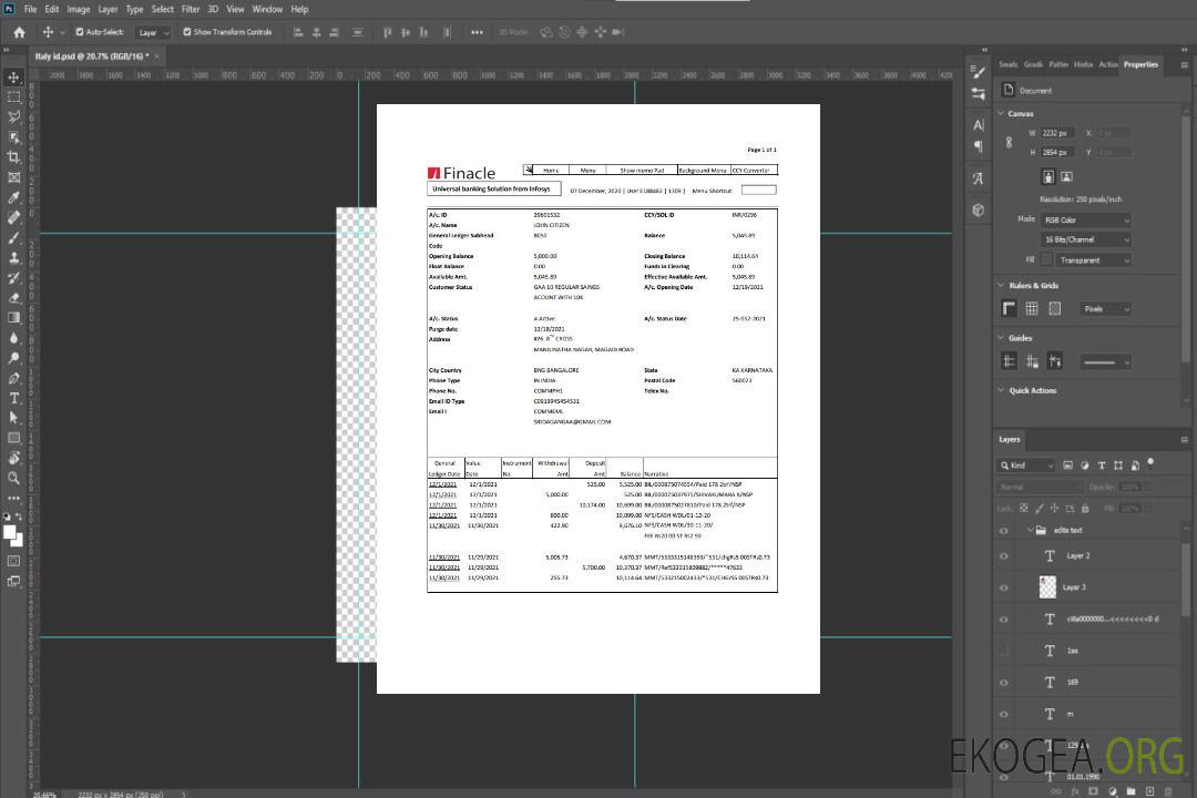 Modèle de relevé bancaire India Finacle facile à remplir au format Excel et PDF template